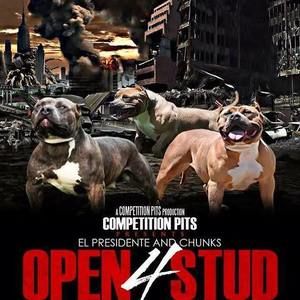 Meet your Posher, Eddy