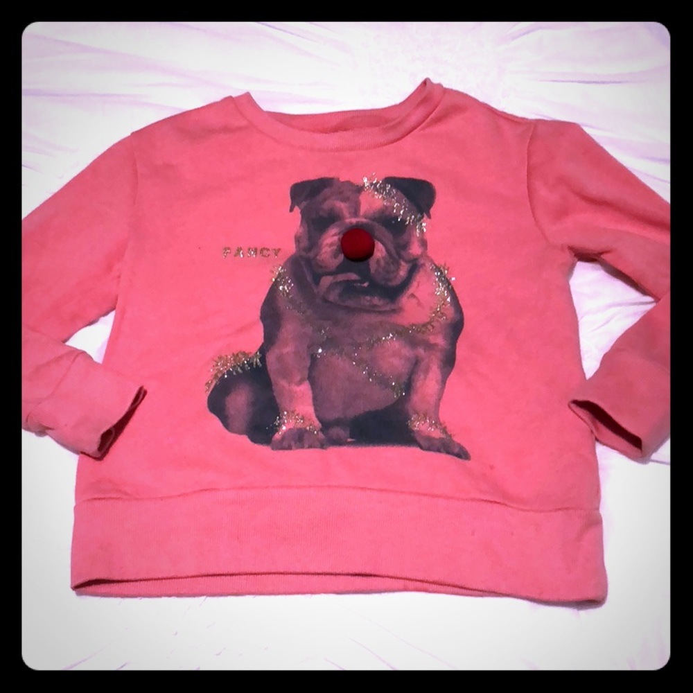 Fancy dog sweatshirt for Christmas!