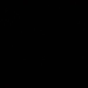 Meet your Posher, Jocelyn