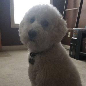 Meet your Posher, Caitlin