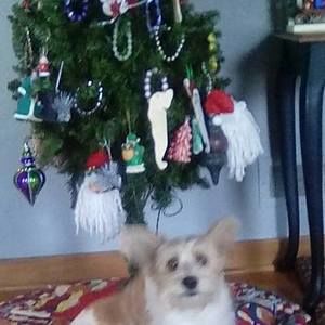 Meet your Posher, Margie