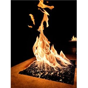 Meet your Posher, Vivian