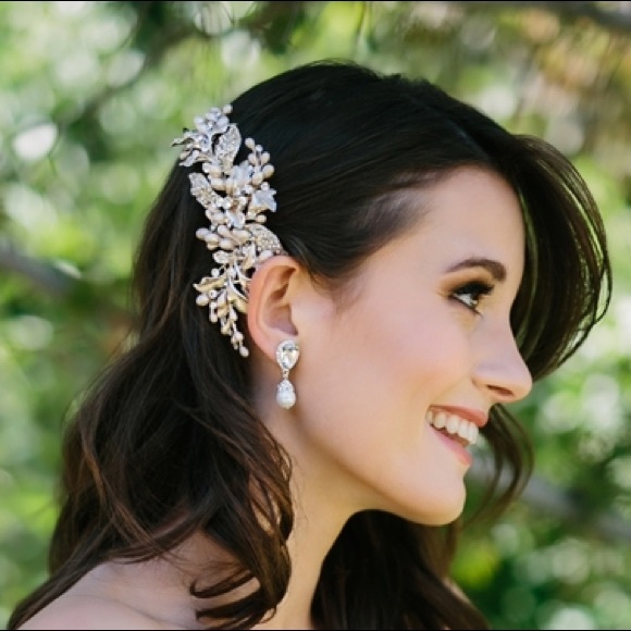Accessories - Beautiful hair clip
