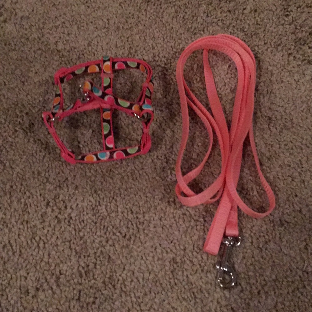 Small breed dog harness and leash