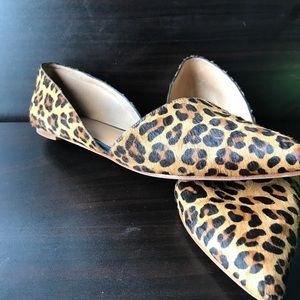 Leopard Flats