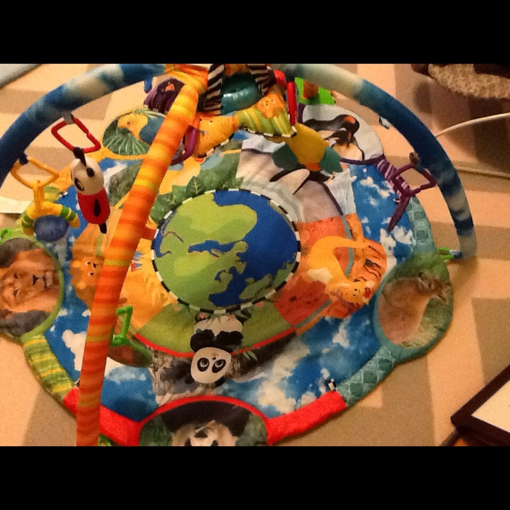 Baby Einstein Around the World Play Gym- like new!