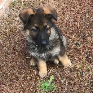 Meet your Posher, Miss