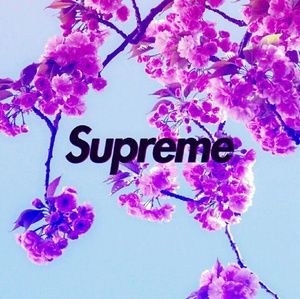 Meet your Posher, Kameron