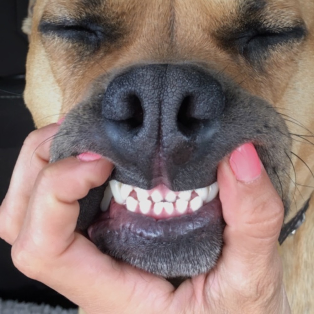 Meet your Posher, Kath