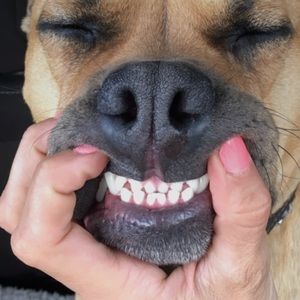 Meet your Posher, Kath