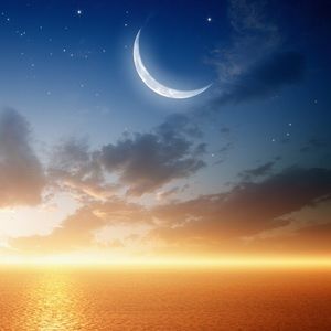 Meet your Posher, Ariel