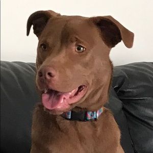 Meet your Posher, Conrad