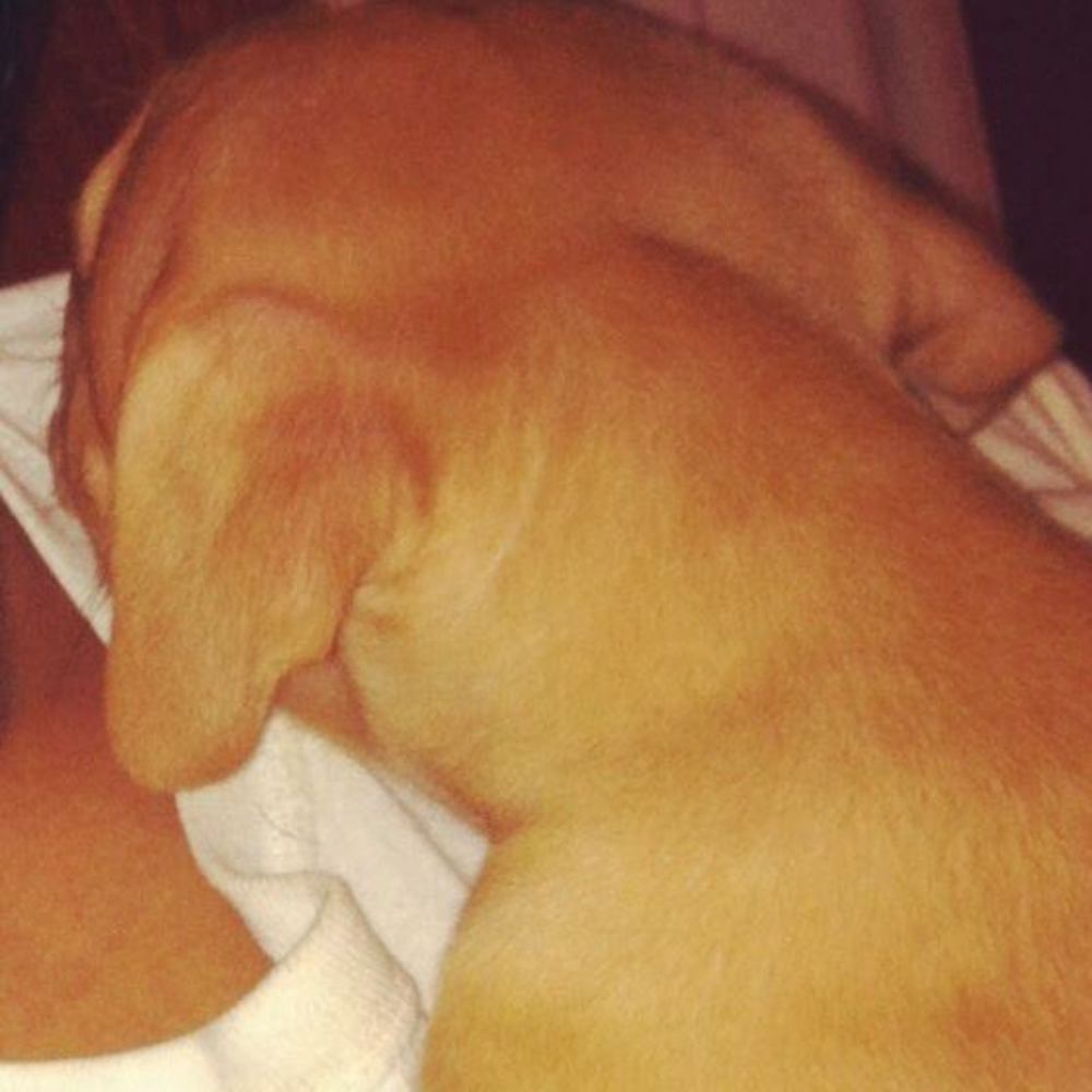 Meet your Posher, Gabe