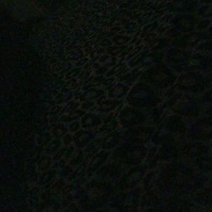 Meet your Posher, Jesse