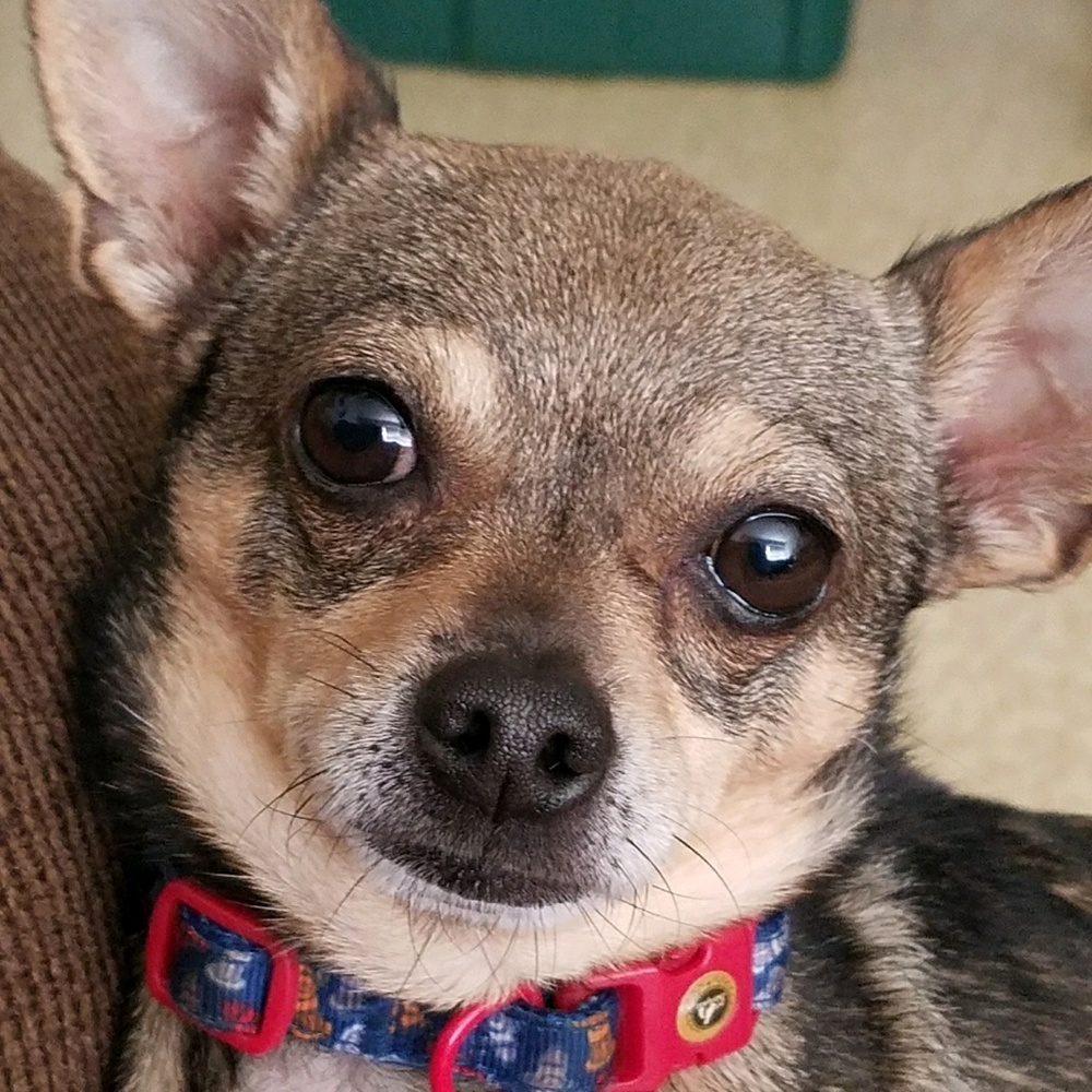 Meet your Posher, Crystal