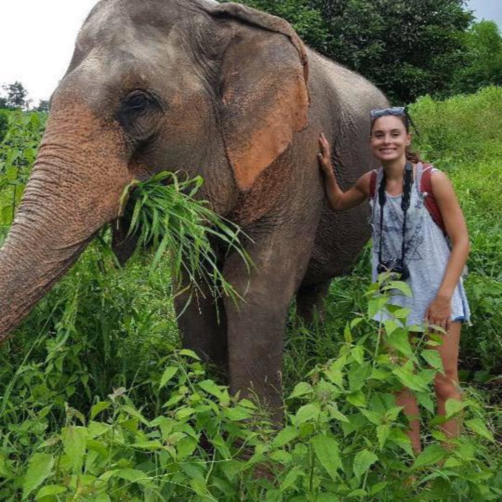 Meet your Posher, Niki