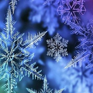 Meet your Posher, Melisa