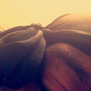 Meet your Posher, Dorrien