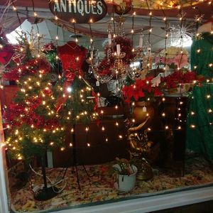 Meet your Posher, Rose