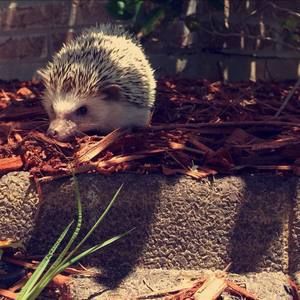 Meet your Posher, Claire