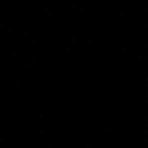 Meet your Posher, Demesha