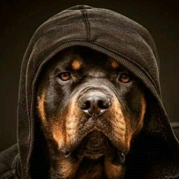 Meet your Posher, Mark - Picture 1 of 1