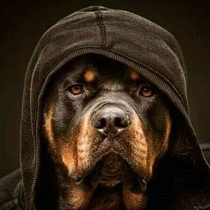 Meet your Posher, Mark