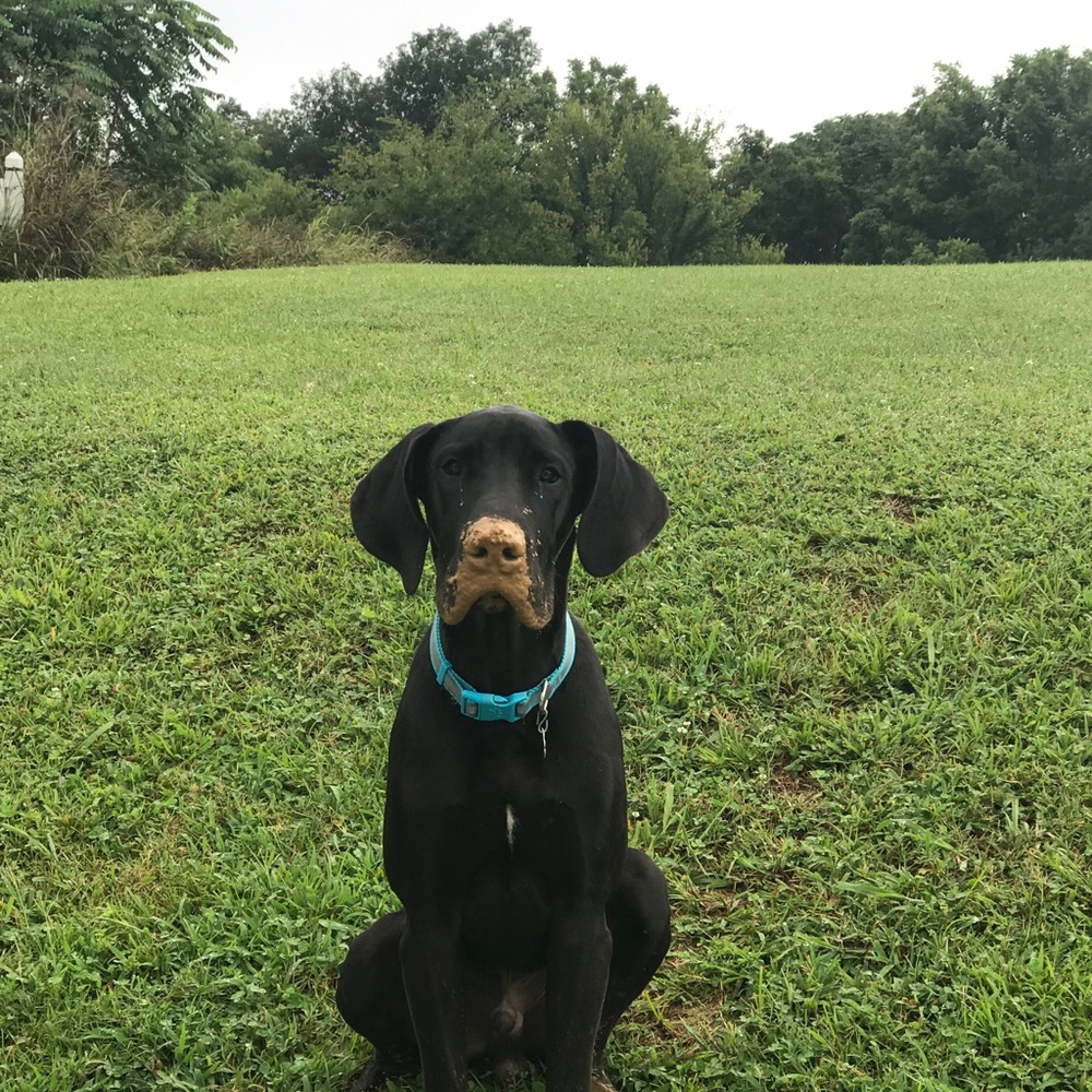 Meet your Posher, Nicole