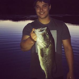 Meet your Posher, Elijah