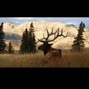 Meet your Posher, Garlynn