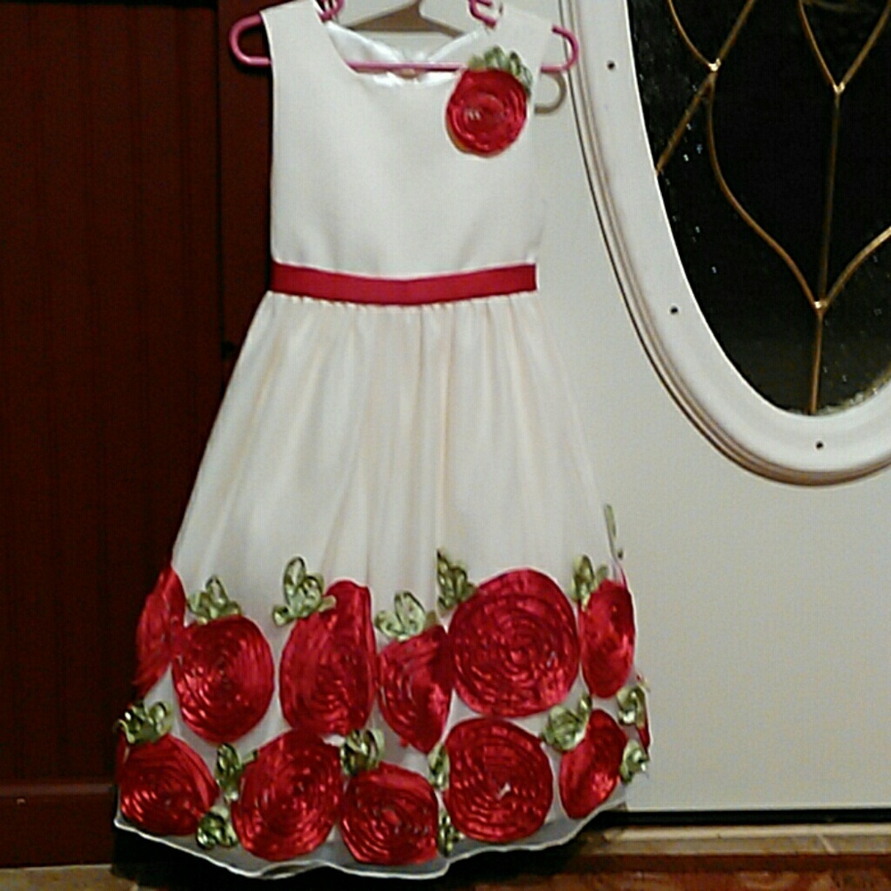 American Princess special occasion dress 6x