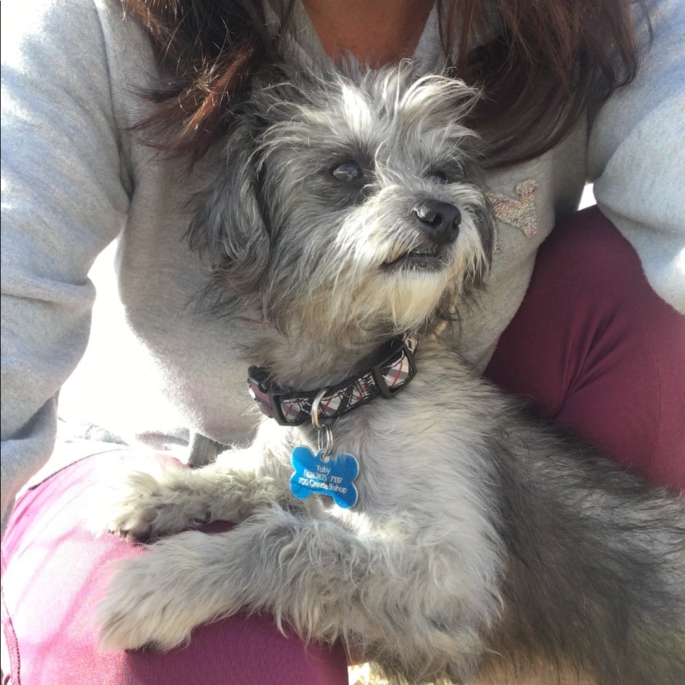 Meet your Posher, Kristen