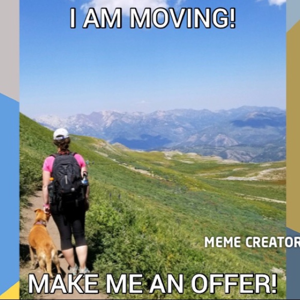 I’m moving! Make me an offer!