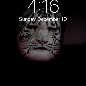 Meet your Posher, Benjamin