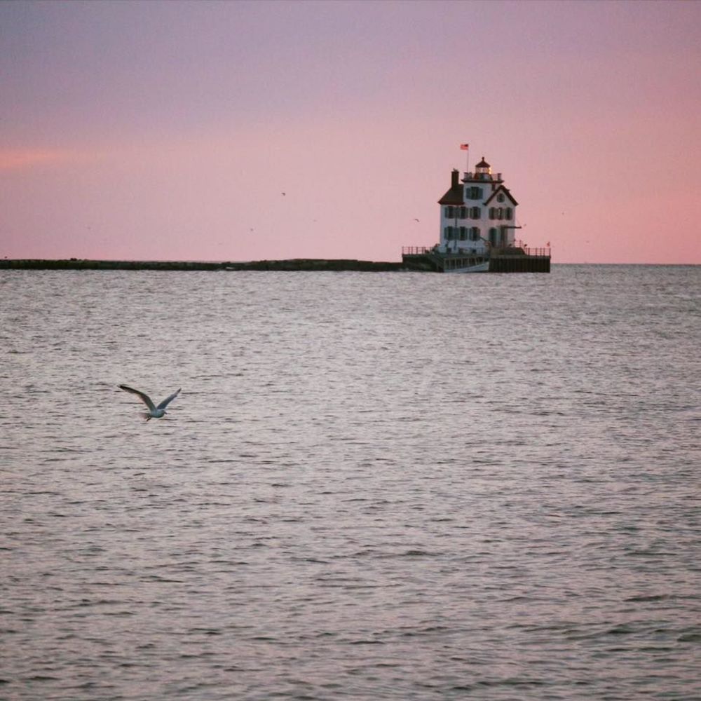 Meet your Posher, Elbie