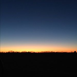 Meet your Posher, Madi