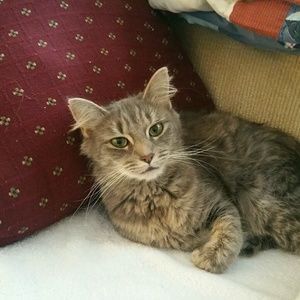 Meet your Posher, Betty