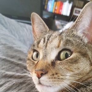 Meet your Posher, Christie