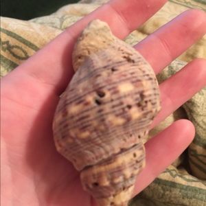 Meet your Posher, Holly