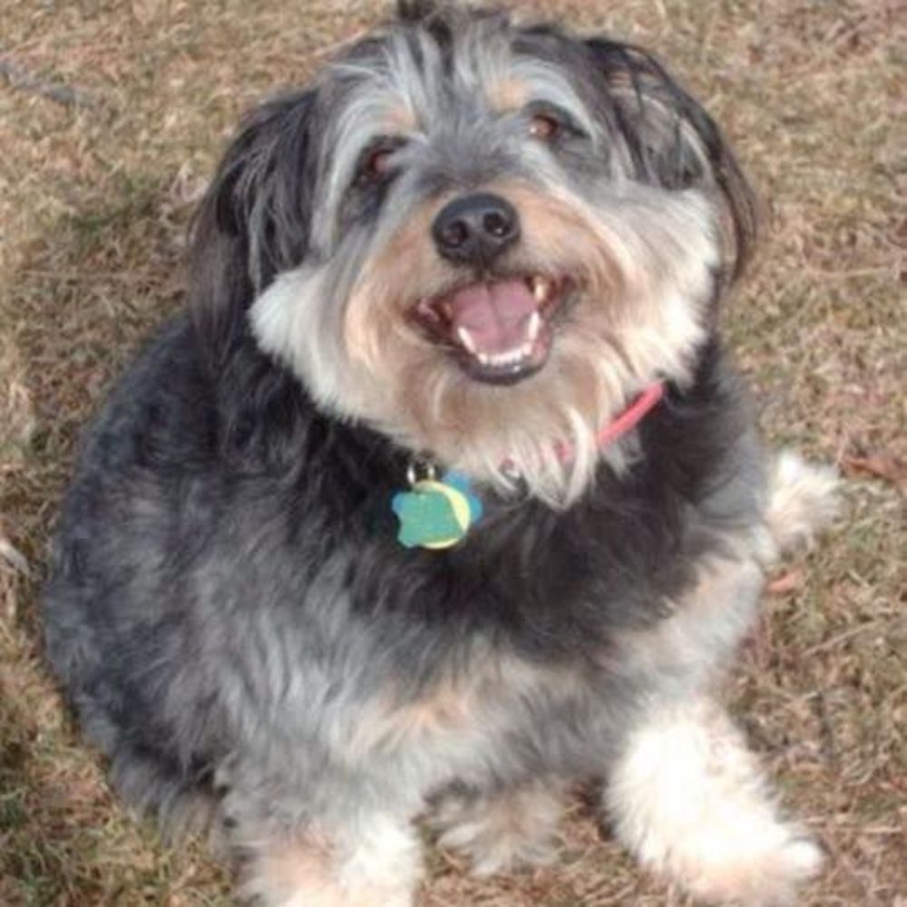 Meet your Posher, David