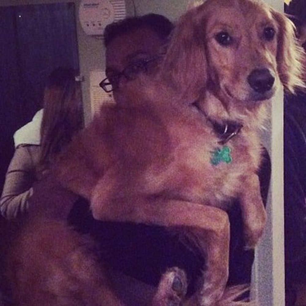 Meet your Posher, Debjit