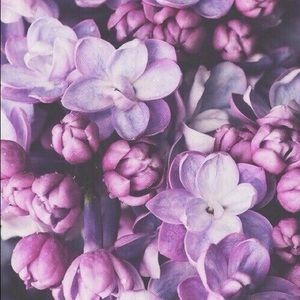 Meet your Posher, Chloe