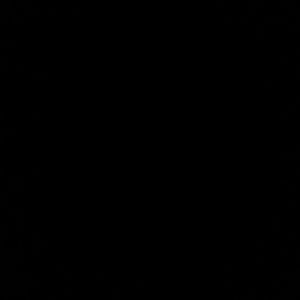 Meet your Posher, Elvis