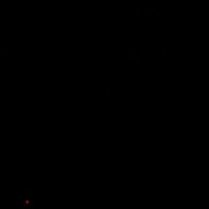 Meet your Posher, Roberto