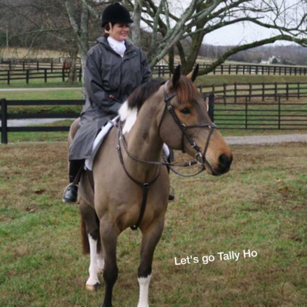 Meet your Posher, Suzanne