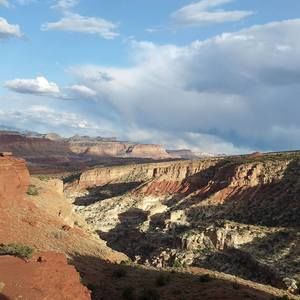 Meet your Posher, Doreene