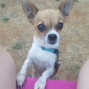 Meet your Posher, Debbie