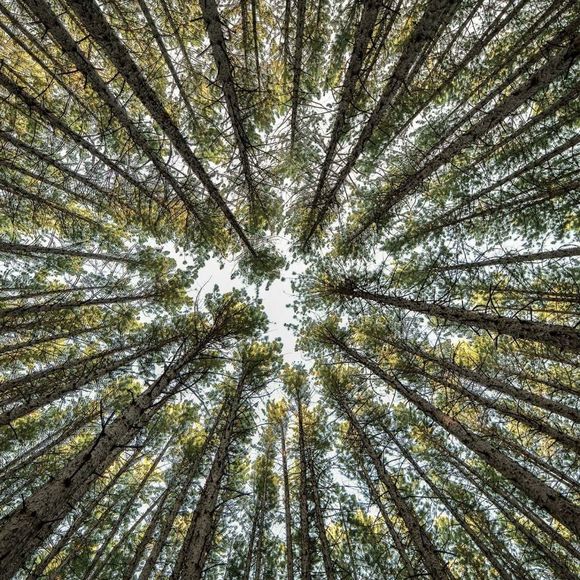 Meet your Posher, Scott - Picture 1 of 1