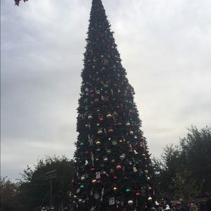 Meet your Posher, Cesar