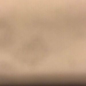 Meet your Posher, Emmett